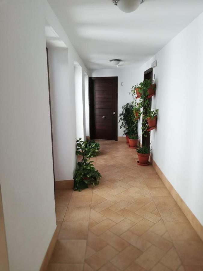 קורדובה Estudio San Pedro-Corredera מראה חיצוני תמונה